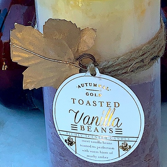 HAVEN STREET CANDLE TOASTED VANILLA BEANS AUTUMN GOLD PILLAR 3 BY 6 - Picture 3 of 4